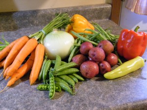 fresh vegetables for canned vegetables beef soup