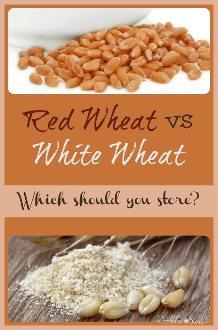 What's the Difference Between Red Wheat and Hard White Wheat?
