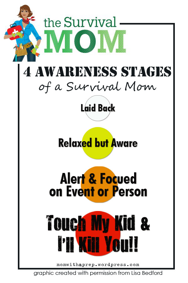 4 Stages of Awareness of a "Survival Mom"  | Survival Mom book review | Mom with a Prep {blog}
