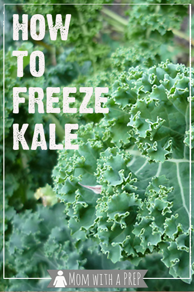 Mom with a PREP | When you have an overabundance of kale from a bumper garden crop or a CSA basket or a great sale at the grocers, what do you do with all that extra kale if you aren't dehydrating it? You can freeze it raw, especially if you're using it for smoothies!