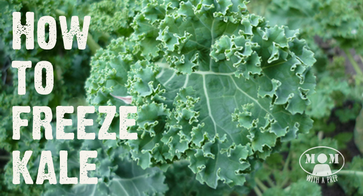freeze kale