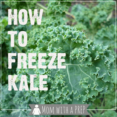 Mom with a PREP | YWhen you have an overabundance of kale from a bumper garden crop or a CSA basket or a great sale at the grocers, what do you do with all that extra kale if you aren't dehydrating it? You can freeze it raw, especially if you're using it for smoothies!