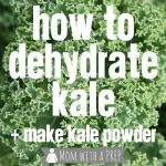 How to Dehydrate Kale for Making Kale Chips or Kale Powder - fabulous method to preserve kale well past the season!
