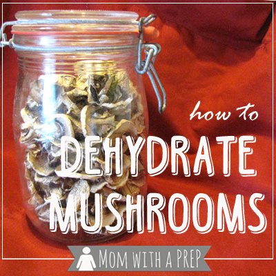 dehydrate mushrooms