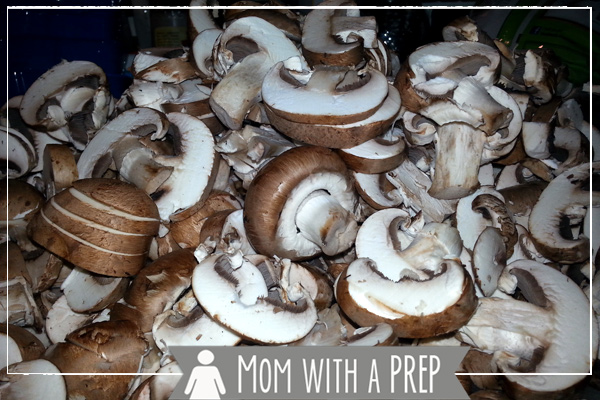 Mom with a PREP | How to Dehydrate Mushrooms