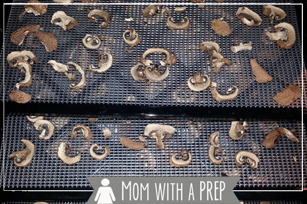 Mom with a PREP | How to Dehydrate Mushrooms