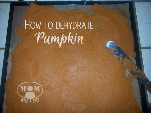 How to Dehydrate Pumpkin at MomwithaPREP.com