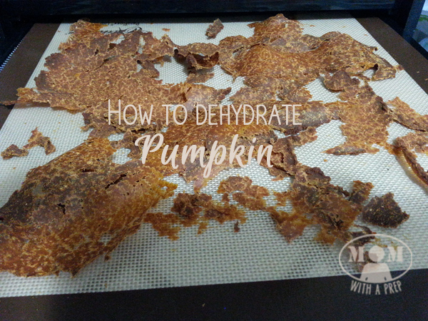 How to Dehydrate Pumpkin at MomwithaPREP.com