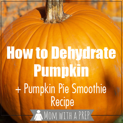 Mom with a PREP | Love pumpkin and want to use it all year long? Learn how to roast, puree, dehydrate, rehydrate pumpkin + a make your own pumpkin pie smoothie recipe!