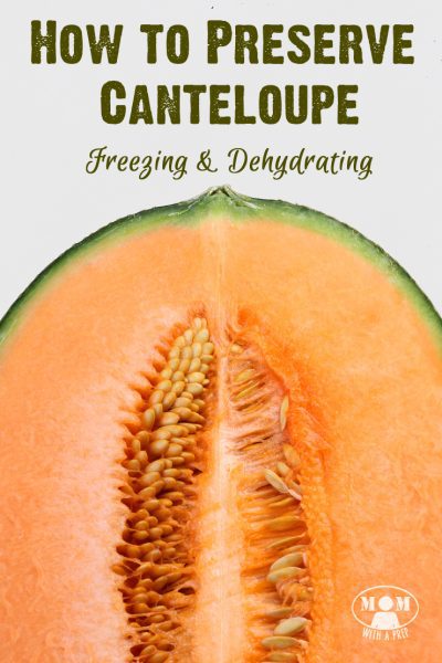 Tips for preserving canteloupe - freezing & dehydrating  |  Mom with a Prep