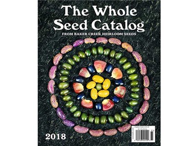 Top 10 Seed Catalogs for the Prepared Garden | organic seeds | Baker Street