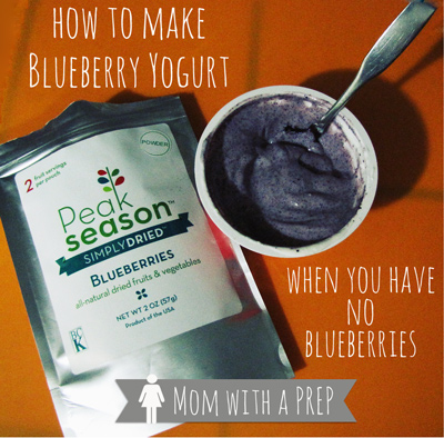 How to make blueberry yogurt when you have no blueberries! Stock up your food storage pantry with a super food to make delicious treats, even when it's not blueberry season!