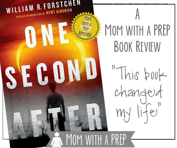 A Mom witha PREP Book Review: One Second After