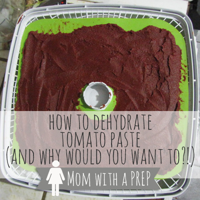 How to Dehydrate Tomato Paste - and why would you even want to ? | Mom with a PREP