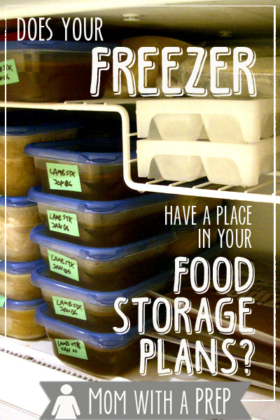 Do you consider your freezer being a vital part of your food storage / preparedness plans? Here are a few thoughts on why you should!