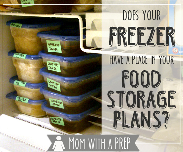 Do you consider your freezer being a vital part of your food storage / preparedness plans? Here are a few thoughts on why you should!