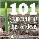 101 gardening tips & ideas
