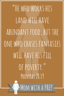 “He who works his land will have abundant food, but the one who chases fantasies will have his fill of poverty.” Proverbs 28:19
