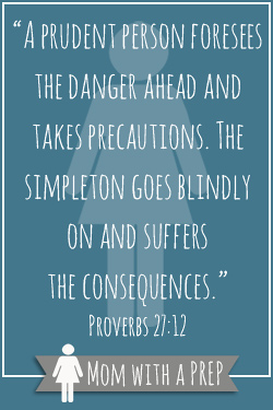 A prudent person foresees the danger ahead and takes precautions. The simpleton goes blindly on and suffers the consequences." Proverbs 27:12