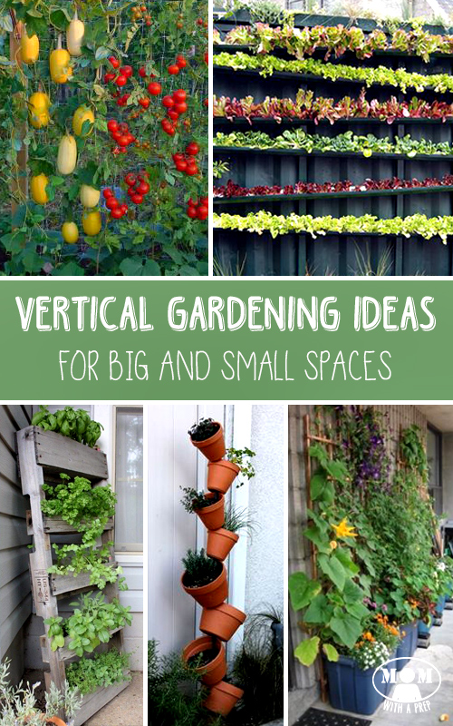 If you don't think you have room to do traditional gardening, go VERTICAL!