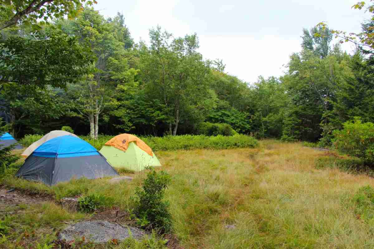 tents on ground for camping