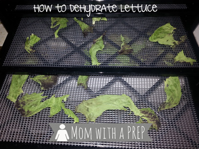 How to Dehydrate Lettuce - Process