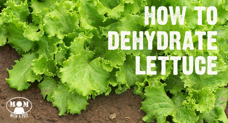 How to dehydrate lettuce?
