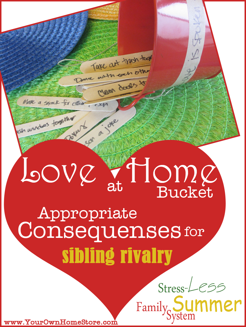 Love at Home Bucket  Appropriate and Pre-Determined Consequences for Sibling Fights