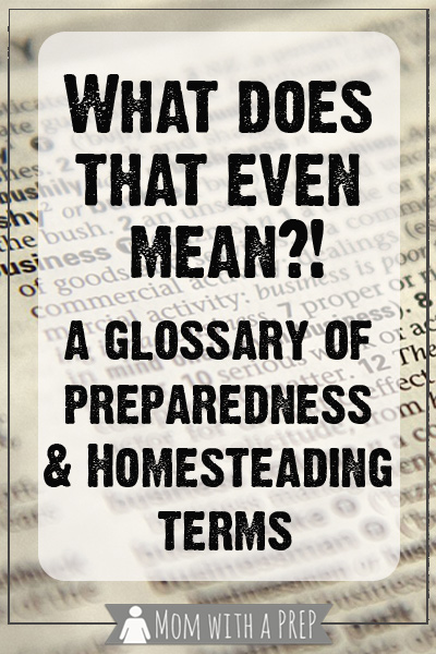 Mom with a PREP | What the Heck does that Even Mean!? Terms like SHTF, TEOTWAWKI, WROL, EMP, and more get thrown around all the time, but do you know what they really mean?
