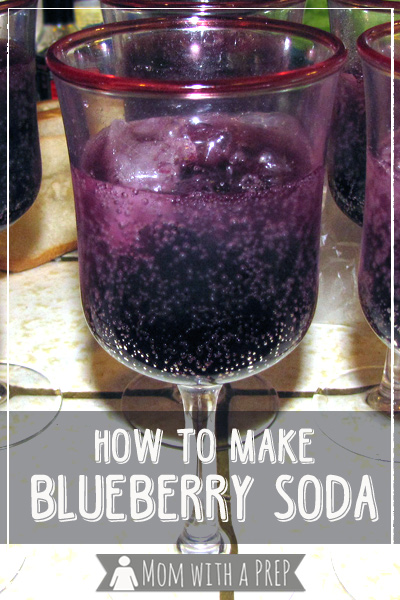 Make blueberry soda from scratch! Use up blueberries from the freezer or food storage and create a delicious summer treat for your kids!