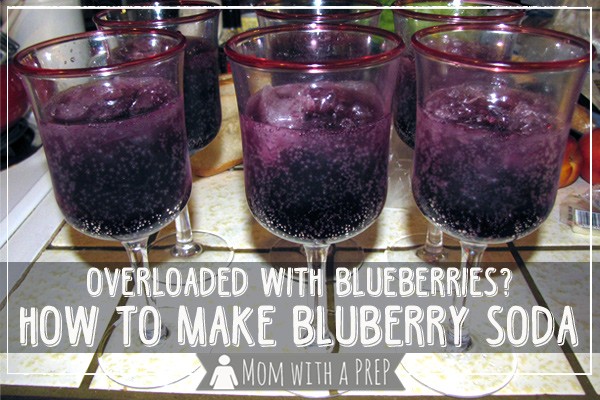 Make blueberry soda from scratch! Use up blueberries from the freezer or food storage and create a delicious summer treat for your kids!