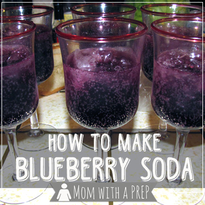 Overloaded with blueberries and don't want to make any more jam or dehydrate them? Try making your own Blueberry Soda! YUMM this stuff is awesome!