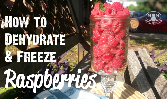 With all those raspberries that you're growing, picking up from u-pick farms, or are getting at a great price at the grocery store, learn to preserve them to benefit from them in winter! Dehydrating and freezing raspberries is so easy! I'll show you how!