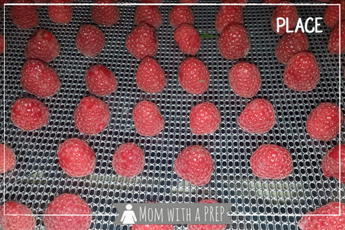Mom with a PREP | Raspberry season is so short - save that goodness throughout the year by dehydrating or freezing. It's super easy!