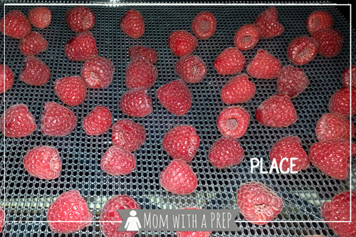 Mom with a PREP | Raspberry season is so short - save that goodness throughout the year by dehydrating or freezing. It's super easy!