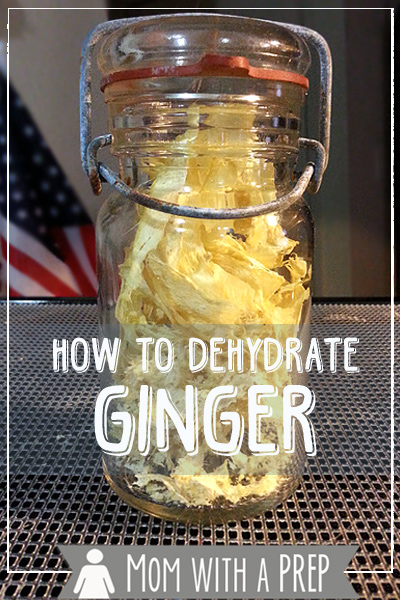 How I Preseve Foods - a collaborative Round Robin of Food Preservation posts from Prepared Bloggers.com --- How to Dehydrate Ginger Root and Make Ginger Powder by MomwithaPREP