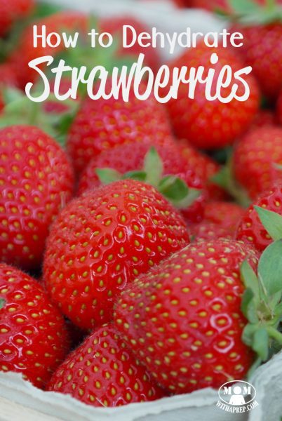 What's the best way of preserving the early summer bounty of strawberries for winter? Dehydrate them! + a quick tip to make hulling strawberries easier!