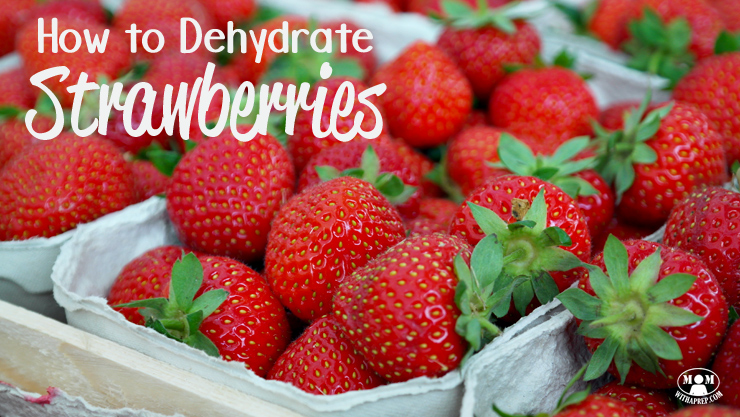 What's the best way of preserving the early summer bounty of strawberries for winter? Dehydrate them! + a quick tip to make hulling strawberries easier!
