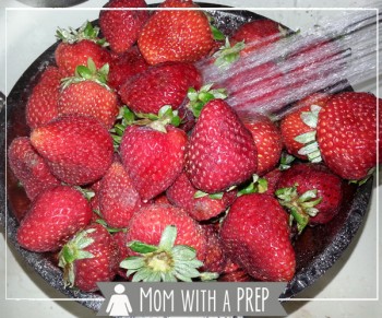 Mom with a PREP | What's the best way of preserving the early summer bounty of strawberries for winter? Dehydrate them! + a quick tip to make hulling strawberries easier!