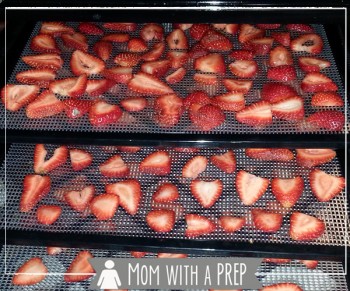 Mom with a PREP | What's the best way of preserving the early summer bounty of strawberries for winter? Dehydrate them! + a quick tip to make hulling strawberries easier!