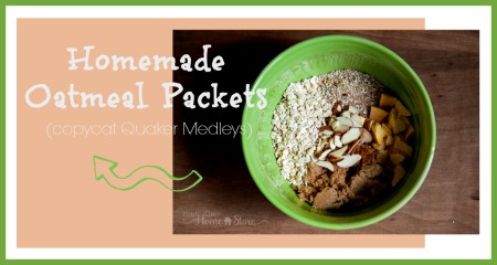 Homemade Oatmeal Packets