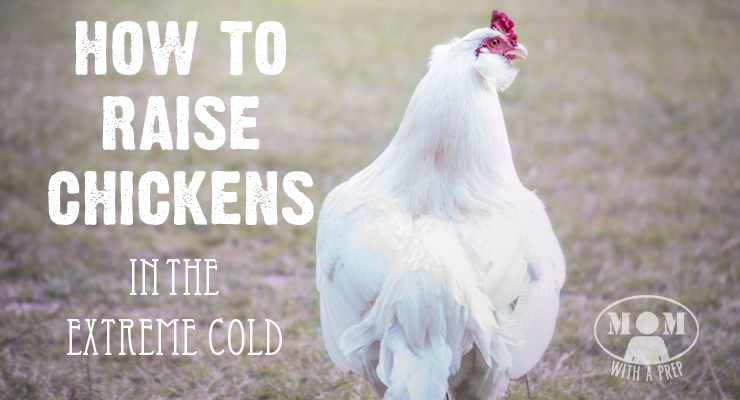 Ever wonder what it's like to raise chickens in Alaska's -70F winters? 