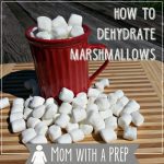 Love those little marshmallows in your hot chocolate in the winter? Are there just never enough? Learn how to make your own! #dehydrate