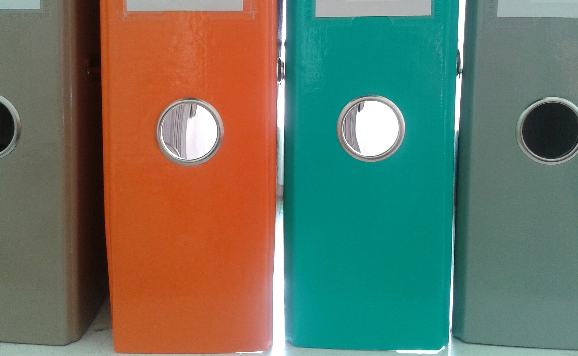 A row of binders with different colors