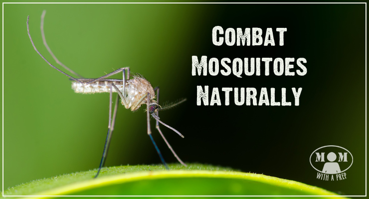 Do you want a way to combat mosquitoes without spraying harmful chemicals on your body and yard all the time? Do it naturally!