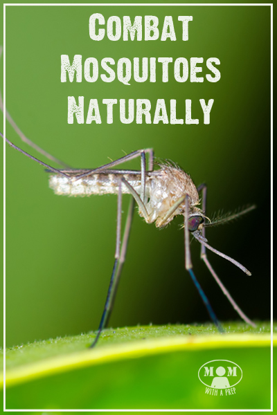Do you want a way to combat mosquitoes without spraying harmful chemicals on your body and yard all the time? Do it naturally!