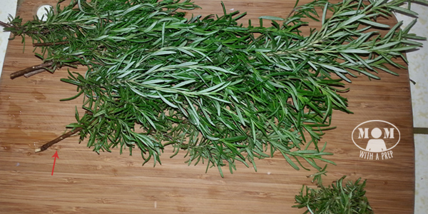 Rosemary is a great evergreen herb that you can harvest all year long. But if your plant hasn't reached gargantuan sizes, yet, or if you aren't able to grow it, you can dehydrate it to have in your pantry all year!