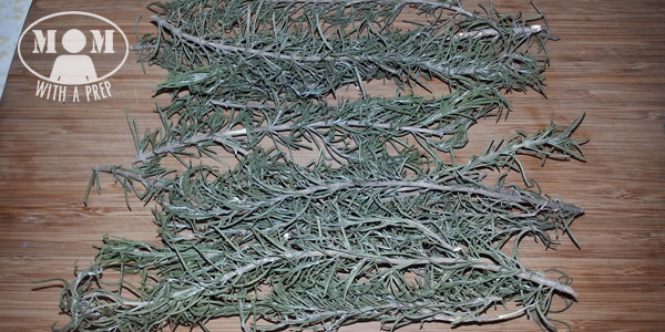 Rosemary is a great evergreen herb that you can harvest all year long. But if your plant hasn't reached gargantuan sizes, yet, or if you aren't able to grow it, you can dehydrate it to have in your pantry all year! - how to dry rosemary