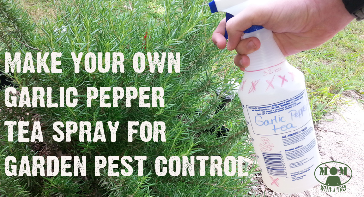 Need something natural, yet effective, to kill off the bugs that are eating all of your garden crop? Try this Garlic Pepper Tea Spray from MomwithaPREP.com