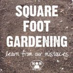 Square Foot Gardening - our favorite method of managing a garden in a small suburban landscape. But we did make a few mistakes along the way. Learn from our mistakes before you tackle your garden!